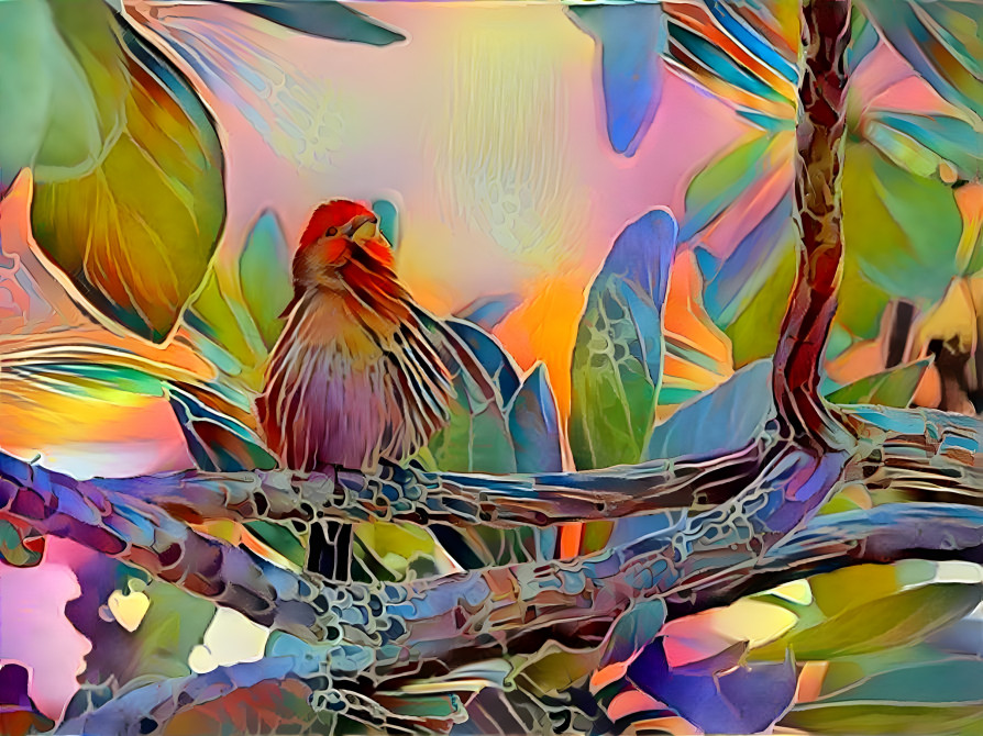 tropical bird