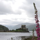 Tranquil lake scene with castle, hills, cloudy sky, and blooming foxglove