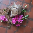 Fluffy kitten relaxing in pink rose garden