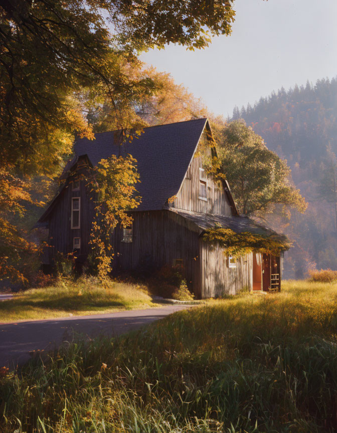 Autumn forest scene with rustic wooden barn by road