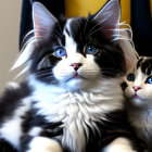 Three black and white kittens with green eyes on black and gold backdrop