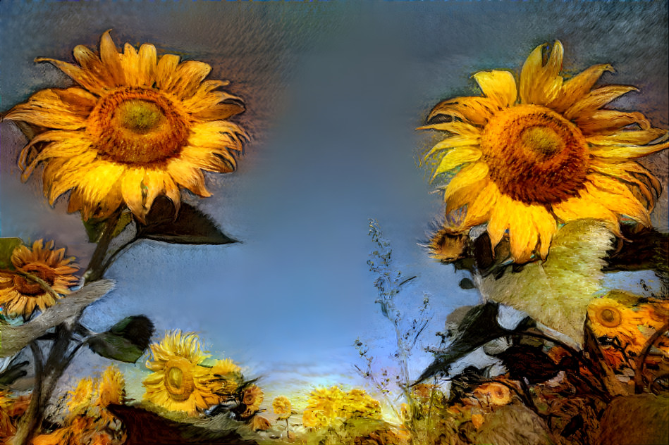 Sunflowers