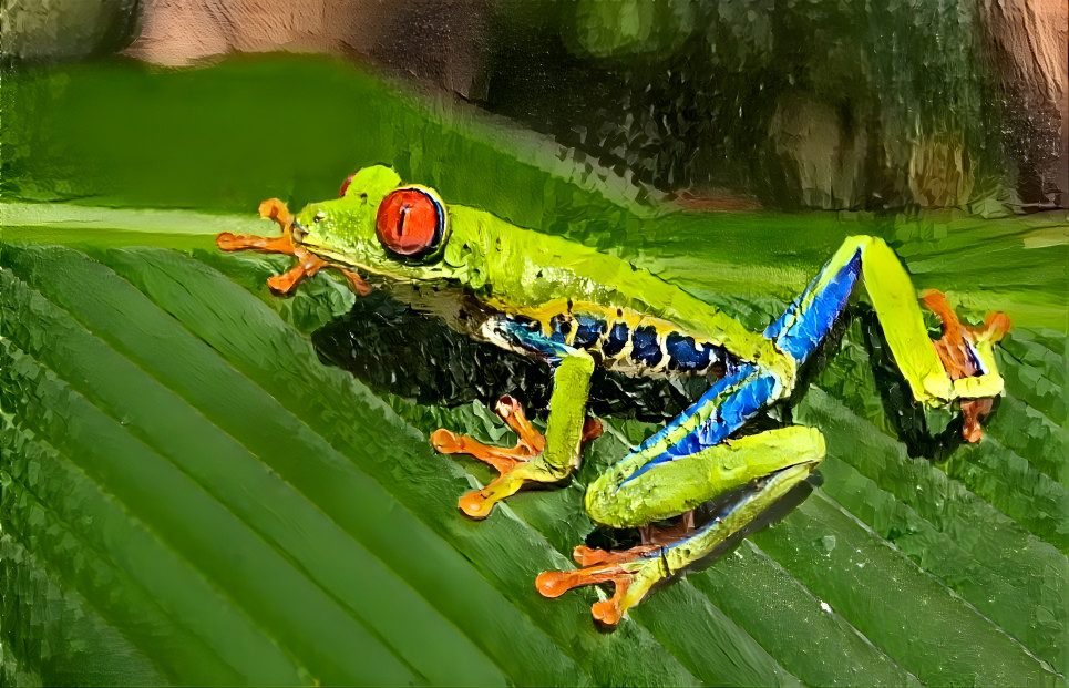 South American three frog