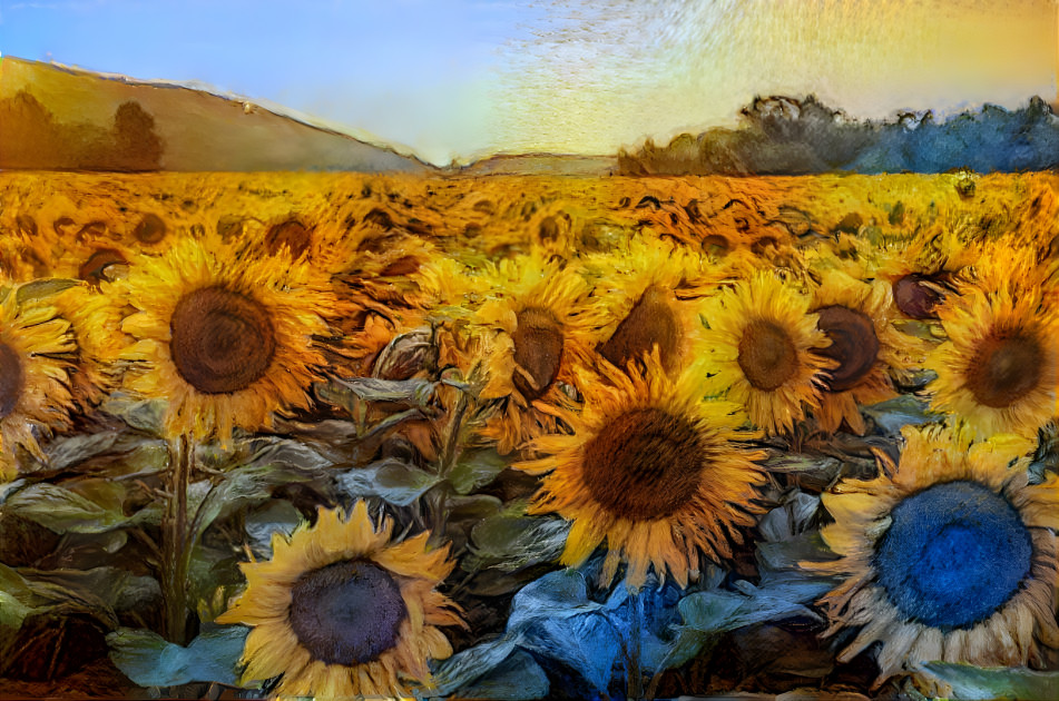 Sunflowers 