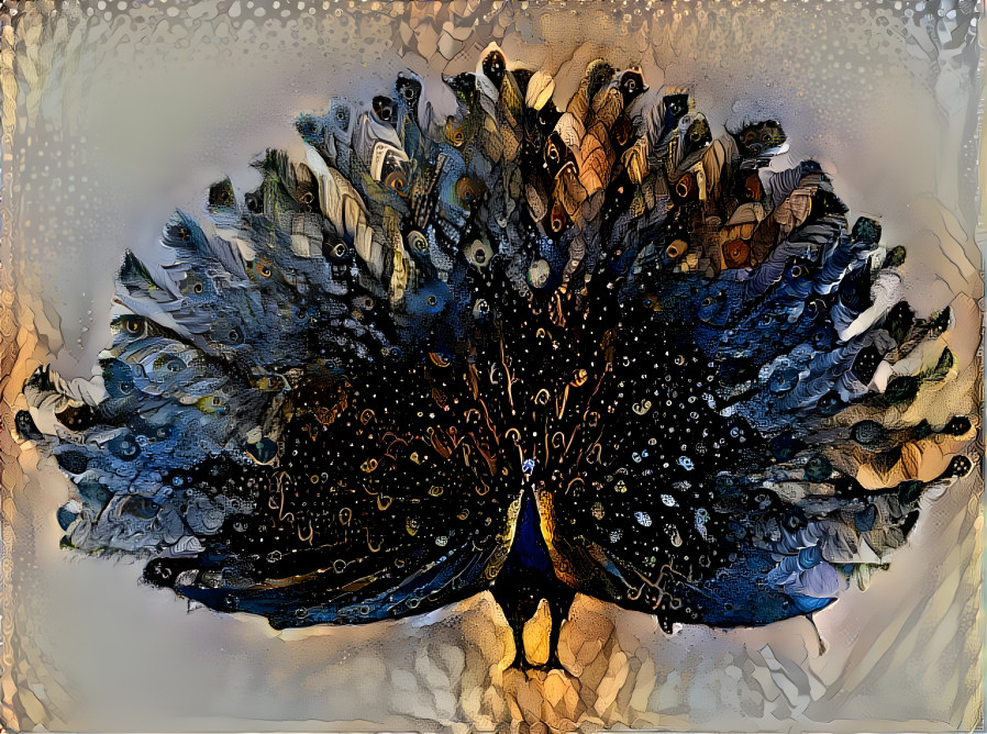 Peacock