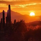 Colorful Desert Sunset with Silhouetted Rock Formations and Fiery Sky