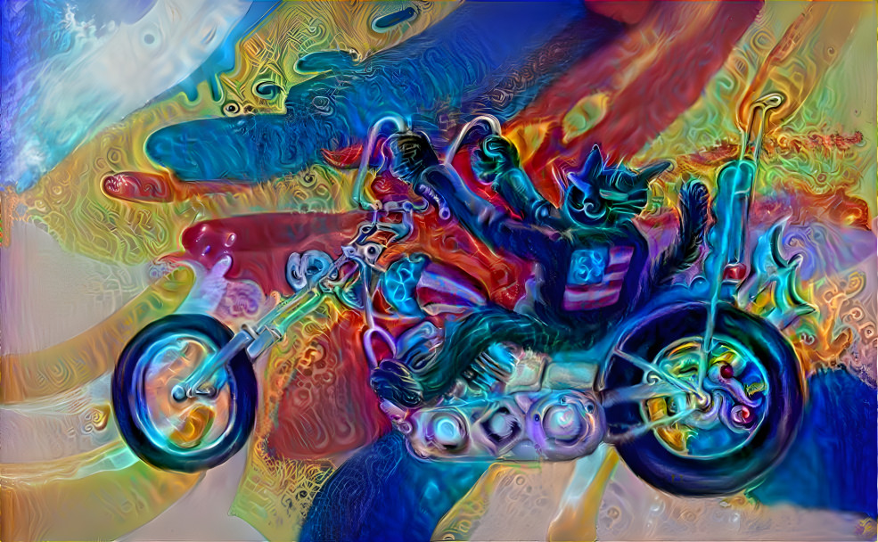 Trippin Biker Cat