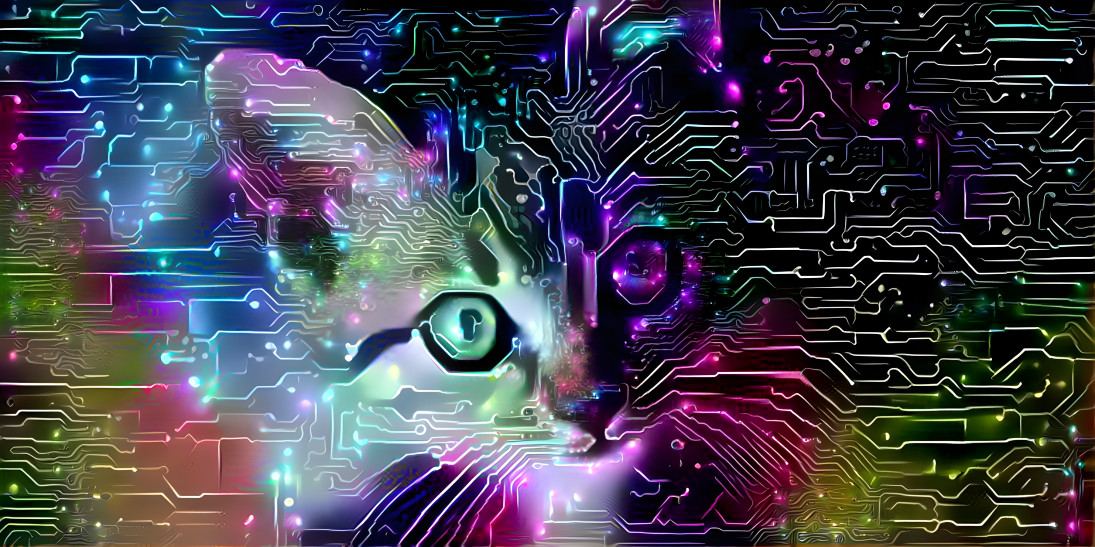 cyber cat