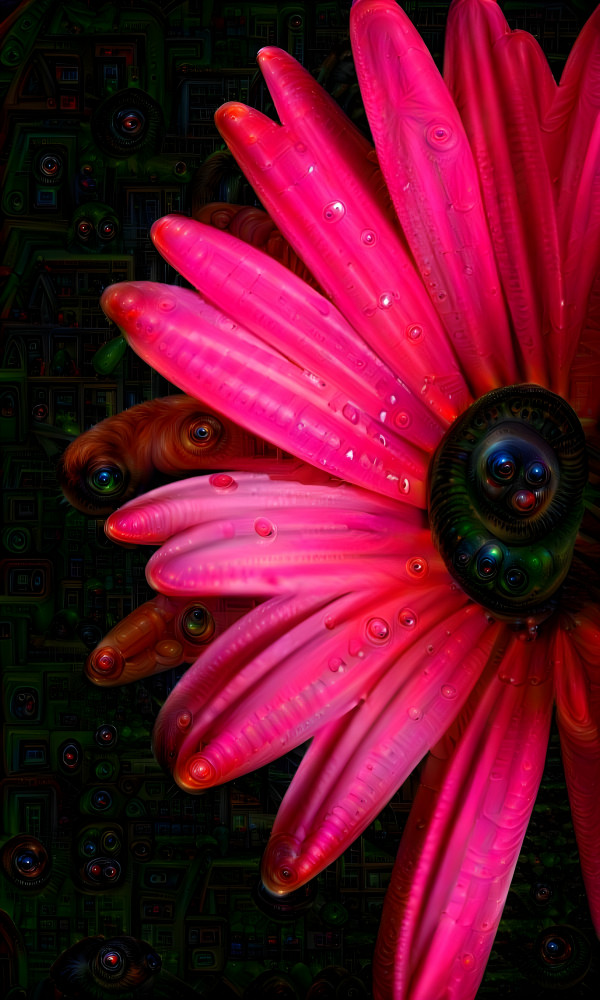 Eye of the Flower