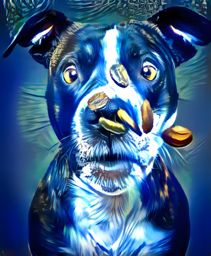 bluedog