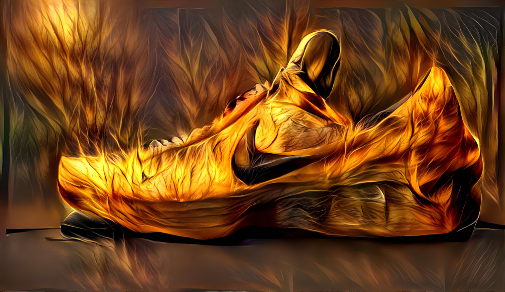 burn the nike´s