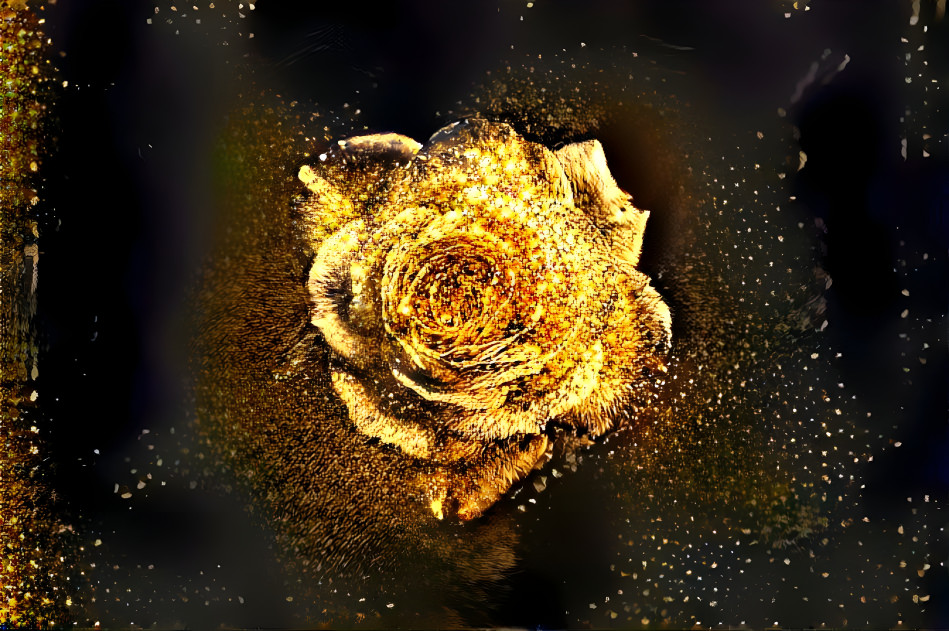 Gold Rose