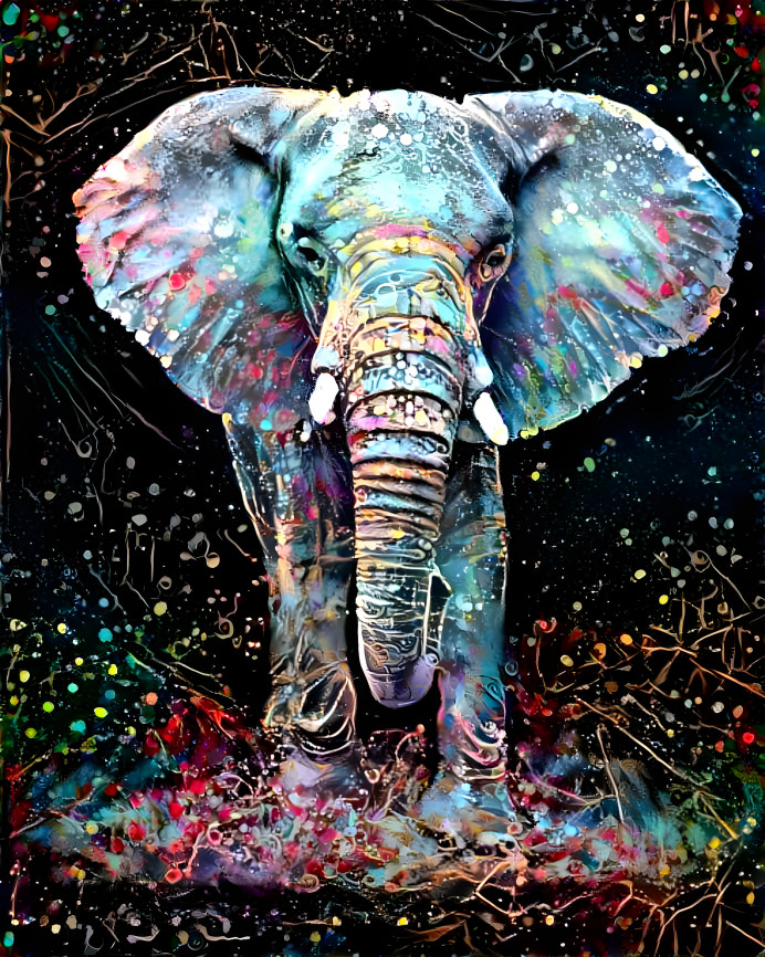 Elephant splash