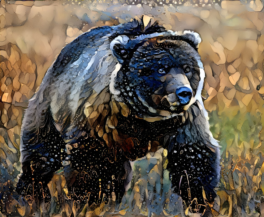 Bear