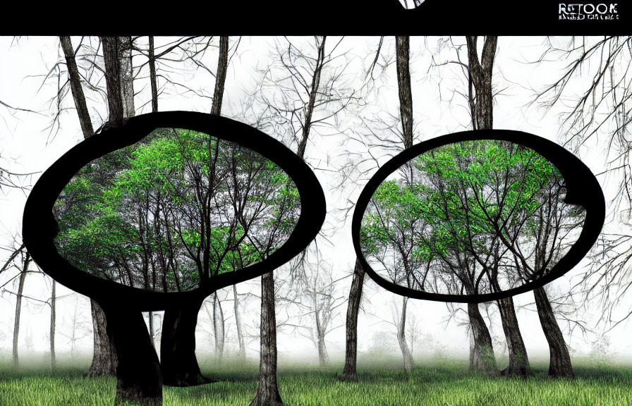 Foggy forest with circular cut-outs of green leaves on white background