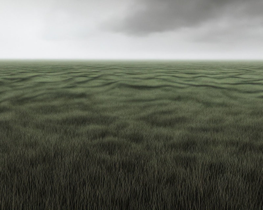 Overcast sky over vast grass field with wavy patterns