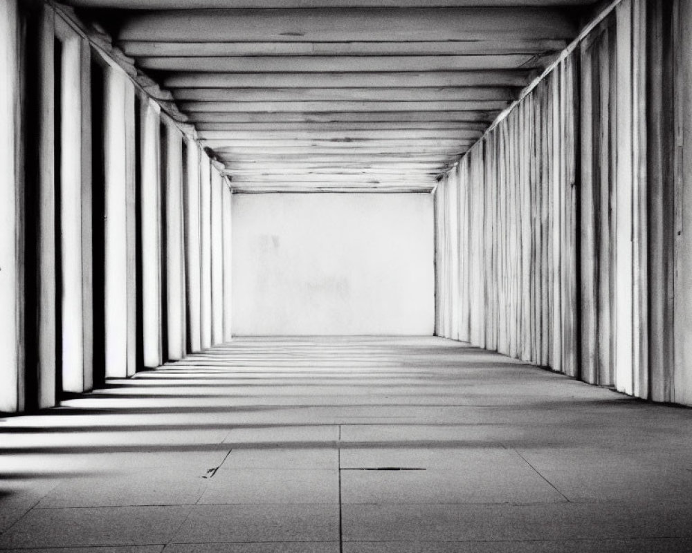 Symmetrical corridor with vertical columns in grayscale