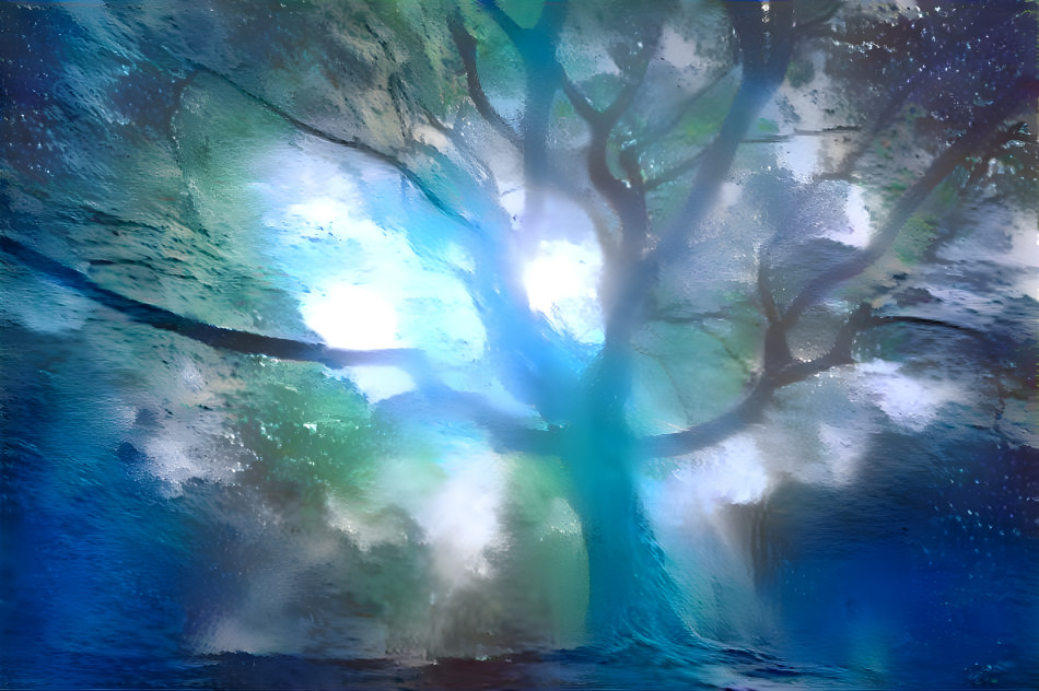 Arcane Forest