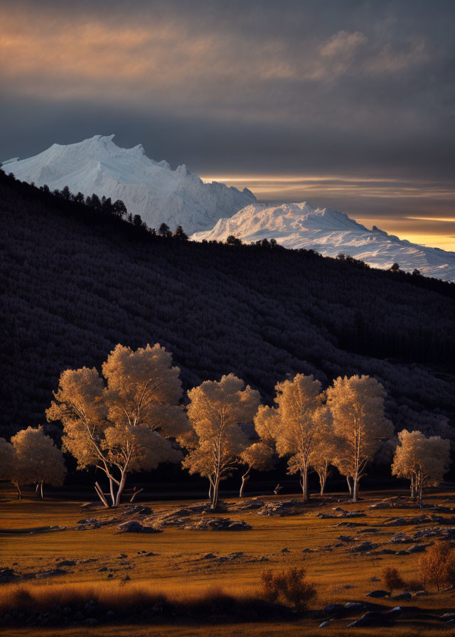 Scenic landscape with trees, mountain, and clouds in golden sunlight