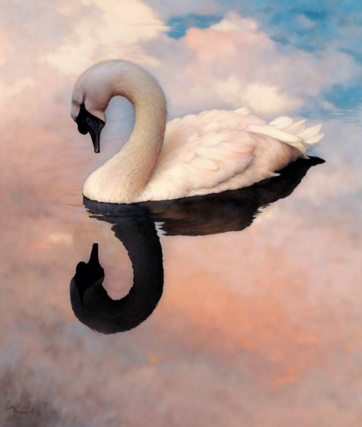 Swan reflected on tranquil water under pastel sky