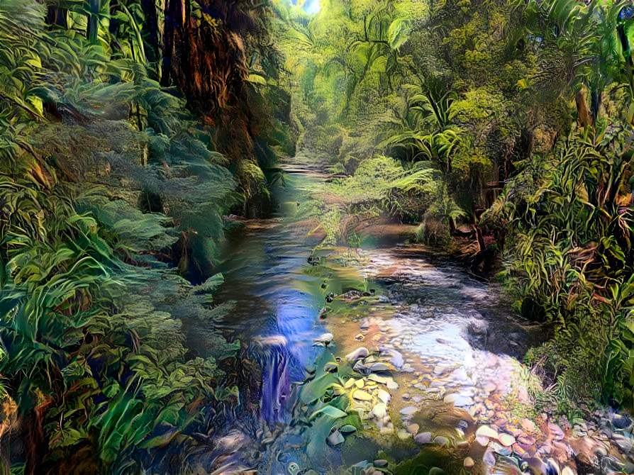 Forest Stream