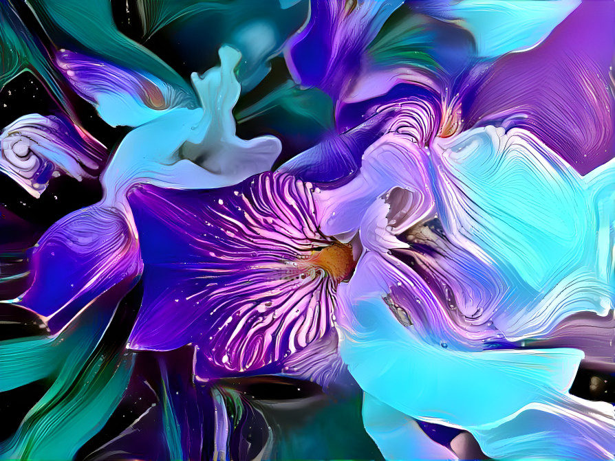 iris