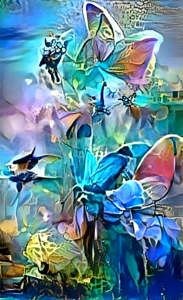 butterflies