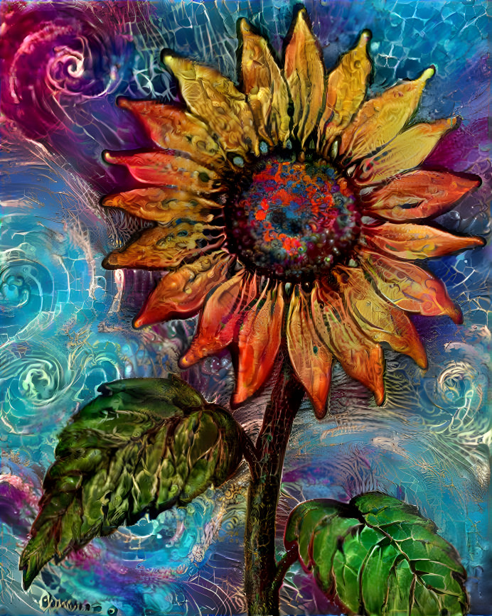 Sunflower 