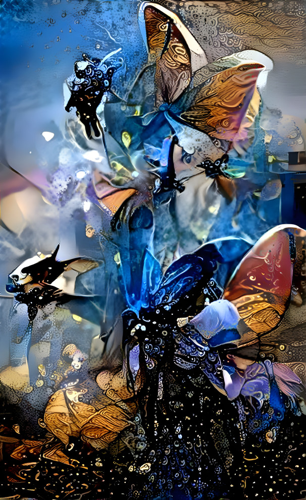 Butterflies 