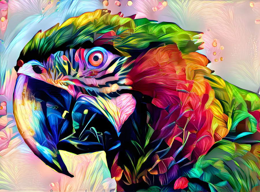 Parrot 