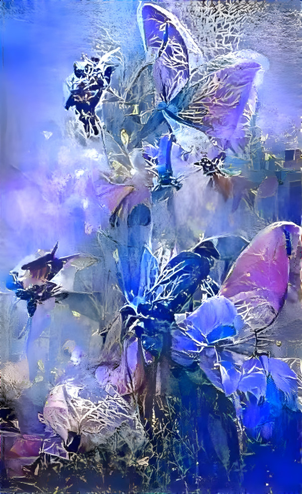 butterflies