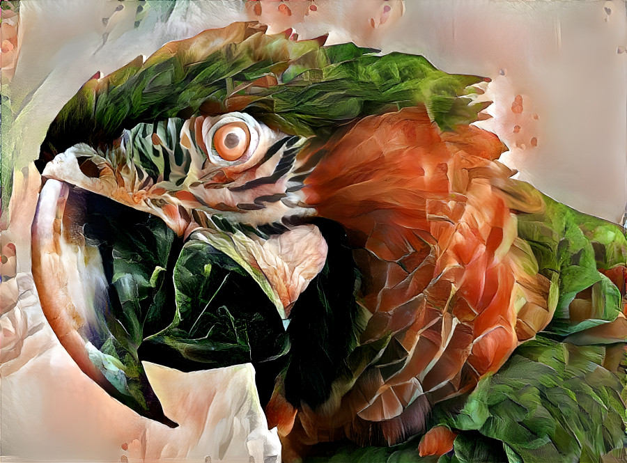 Parrot 