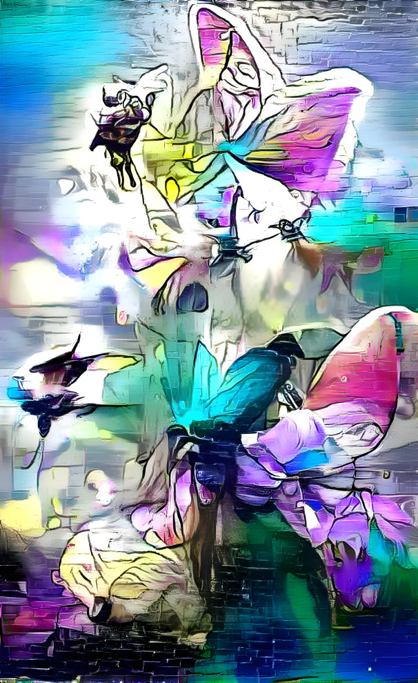 butterflies