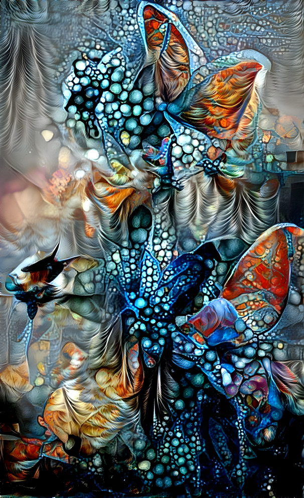 Butterflies