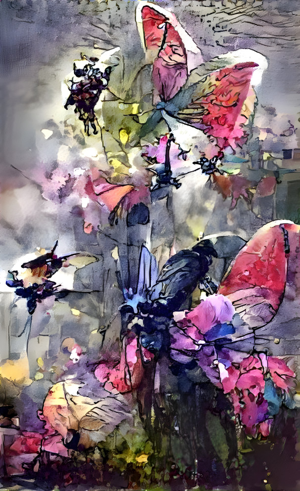 butterflies