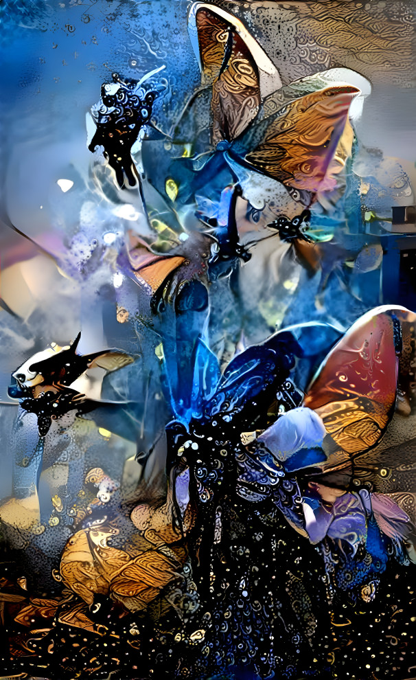 Butterflies 