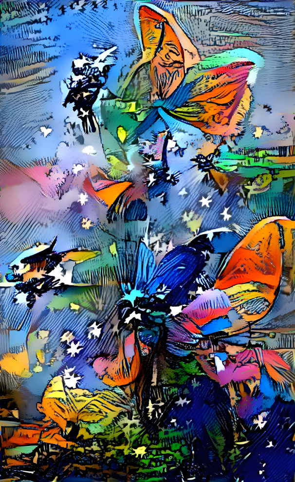 Butterflies 