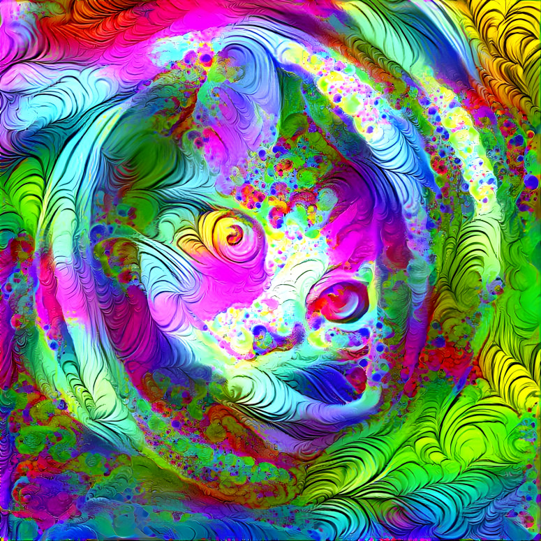 rainbow cat