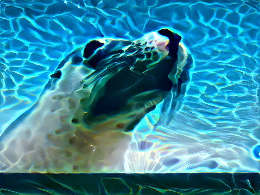 Sealpool