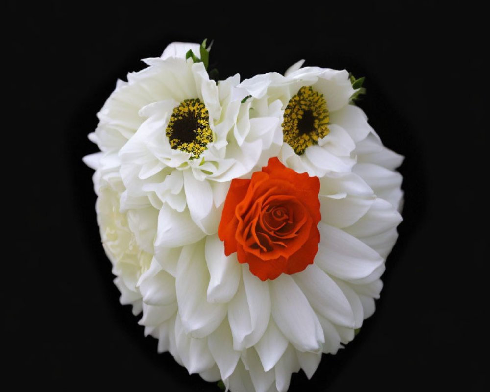 White and Red Heart-Shaped Flower Arrangement on Black Background