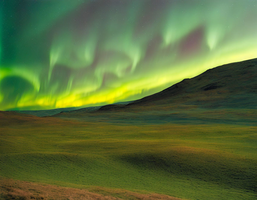 Grassy landscape at night with green aurora borealis.