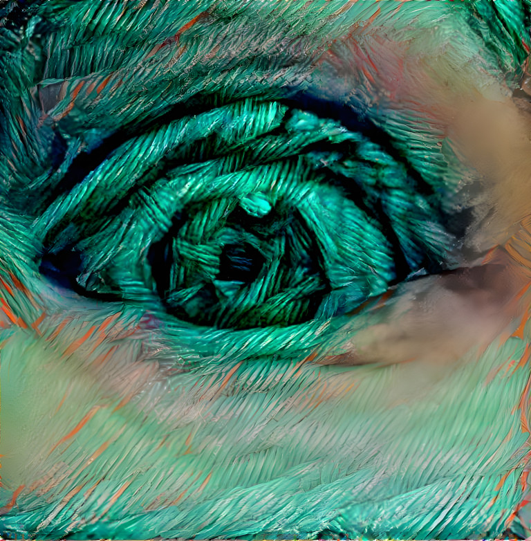 Eye