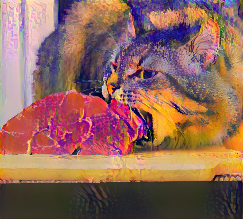 Rainbow meat kitty