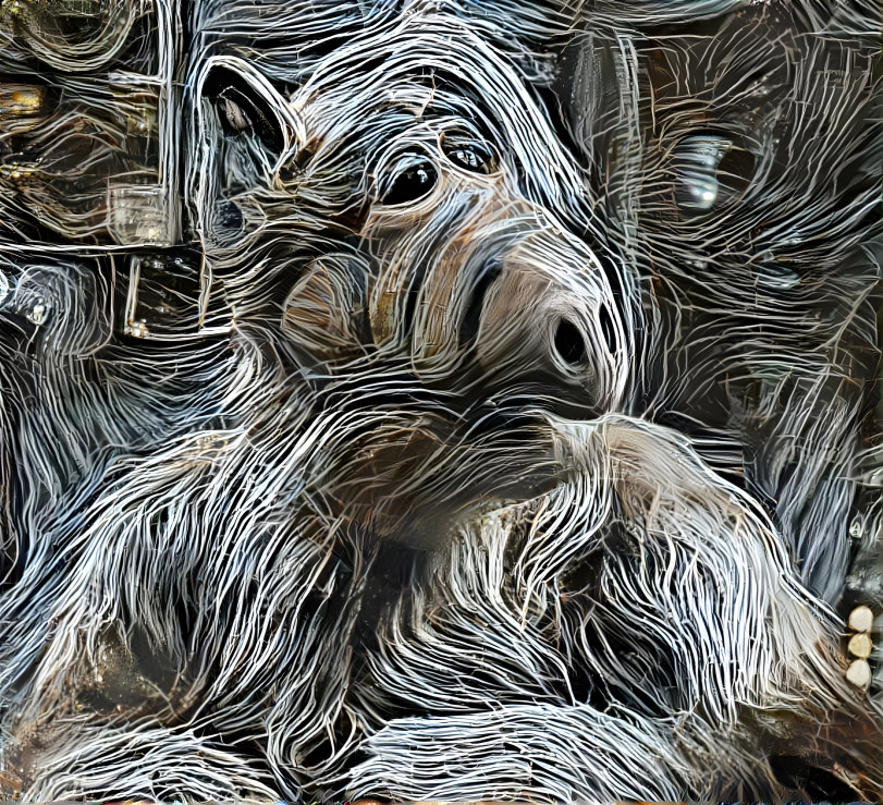 Shredded ALF