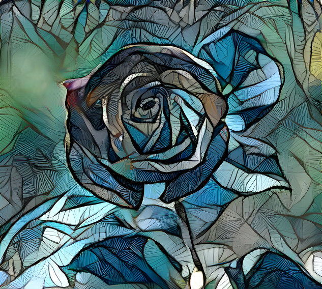 Blue rose