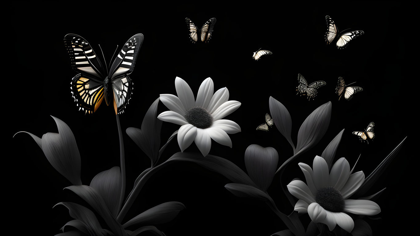 Monochrome daisies and yellow/white butterflies on black background