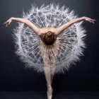 Dandelion seed head transforms into human arms on dark backdrop