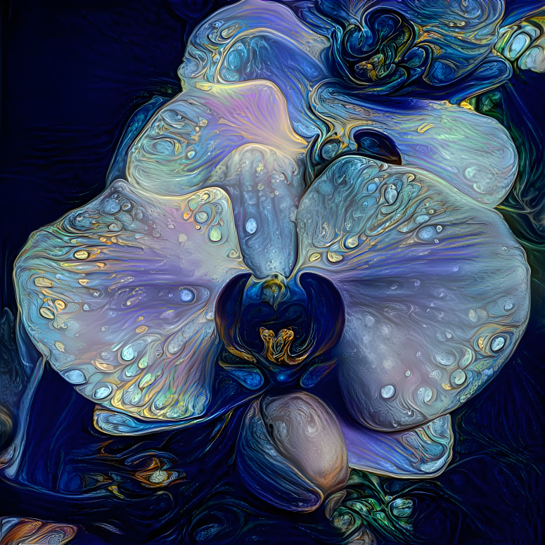 Orchid Dream