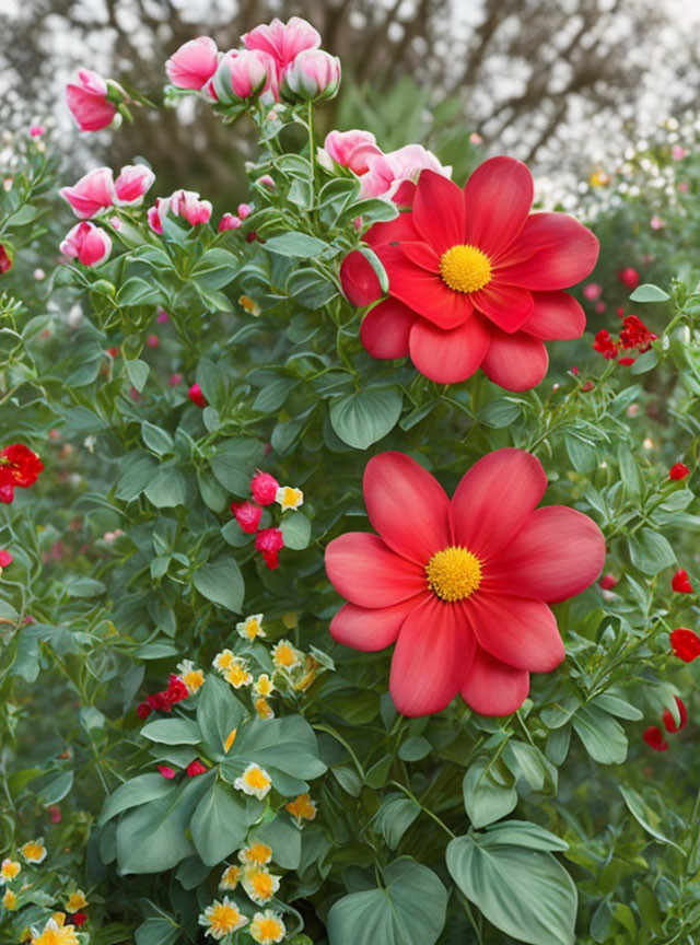 Colorful Garden with Red, Pink, and Yellow Flowers in Lush Green Surroundings