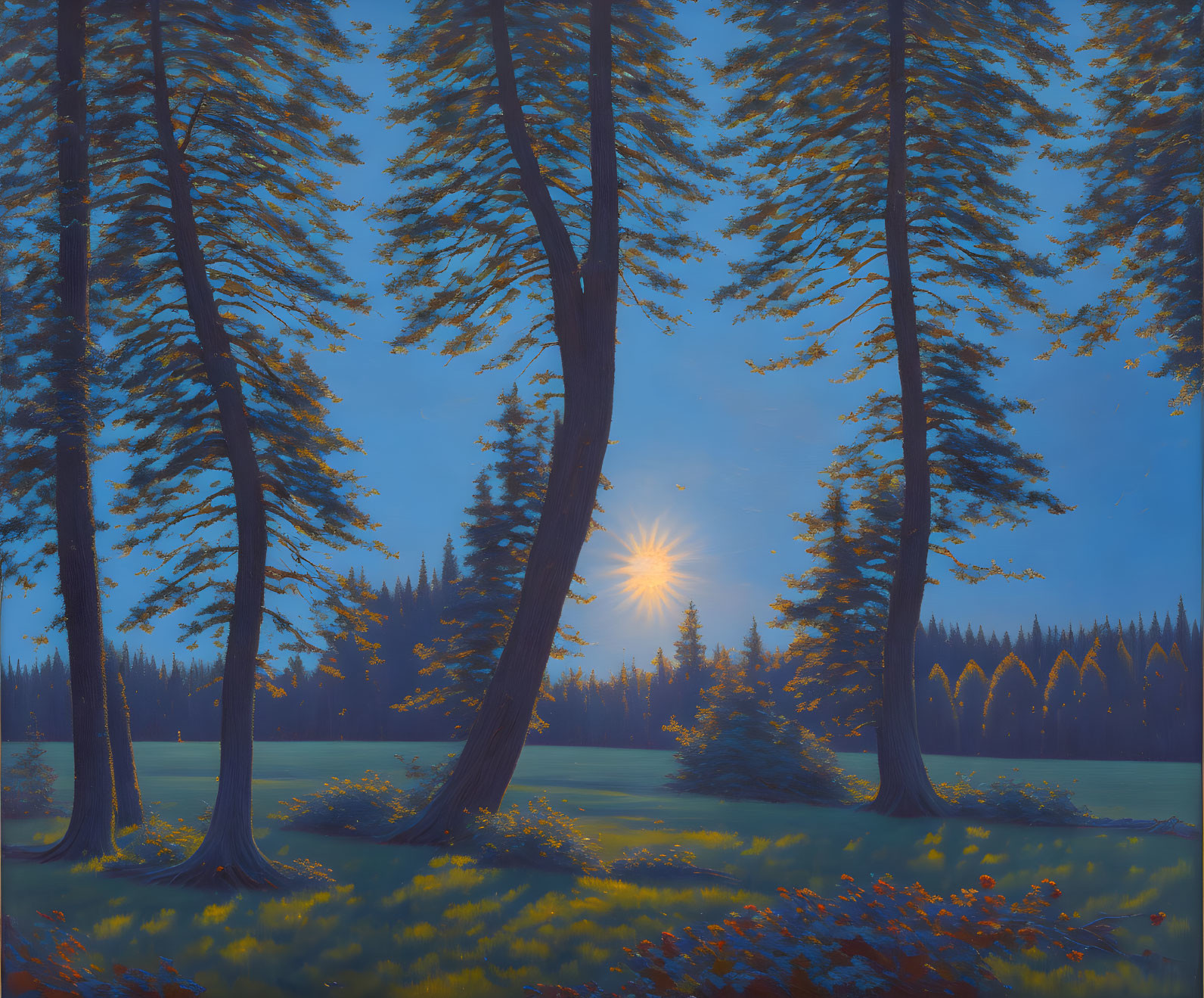 Tranquil forest landscape with tall pine trees and sunburst light